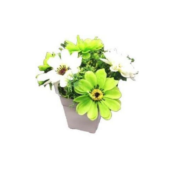 Picture of ZINNIA flower in pot GN                 