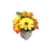 Picture of ZINNIA flower in pot ON                 
