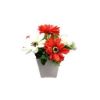 Picture of ZINNIA flower in pot RD                 