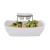 Picture of ISA Snack plate w/black rack 2pcs/set WT