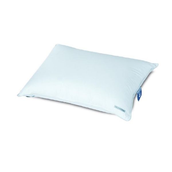 Picture of HYBRID DUALCOMFORT Classic shapePillowWT