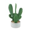 Picture of CADOC Cactus in pot 25x21x45 GY/GN      
