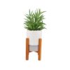 Picture of OLAF Plant in pot w/stand D13x26 WT/GN  