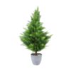 Picture of PINERY Pine tree in pot 50x50x91cm GN/GY