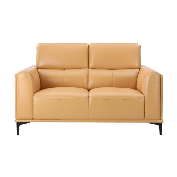 Picture of TEMPIO Half leather 2/S sofa YL         