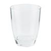 Picture of LUCKYGLASS Tumbler LG-100209 9oz. CG    