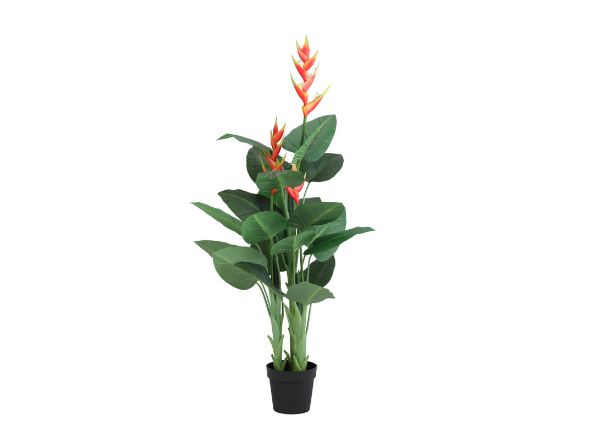 Picture of HENA HELICONIA TREE W/POT H140CM GN