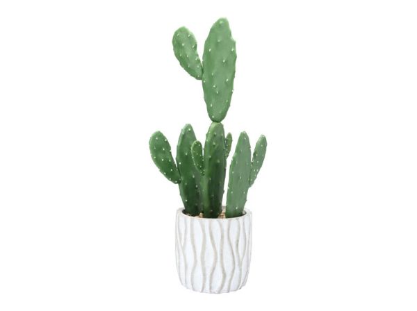 Picture of CADOC Cactus in pot 21x13x46 cm. GN     