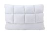Picture of BODY CHEMISTRY Softcell S. Pillow WT    