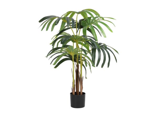 Picture of JUNKA Lady palm w/pot H95cm GN