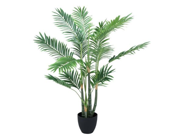 Picture of PEMO Palm tree w/pot H110cm GN