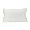 Picture of COOLISH-P COOLING CHOPPED FOAM PILLOW WT