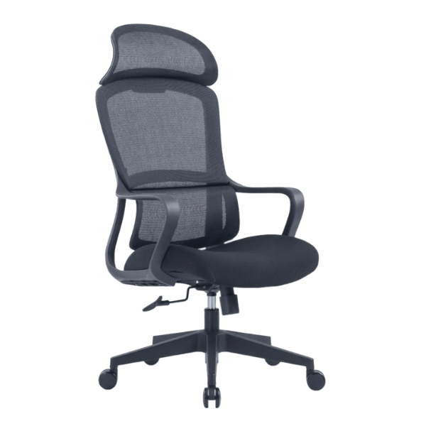 Picture of Executive chair CH-519A