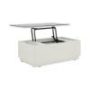 Picture of PLAY ONE Adjust coffee table100CM WT#01