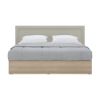 Picture of MELBOURNE Bed 5 FT. SS/LO15