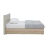 Picture of MELBOURNE Bed 5 FT. SS/LO15