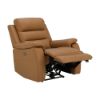 Picture of RICCARDO H/L power recliner 1/S BN