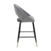 Picture of SCARLETT Bar stool DGY