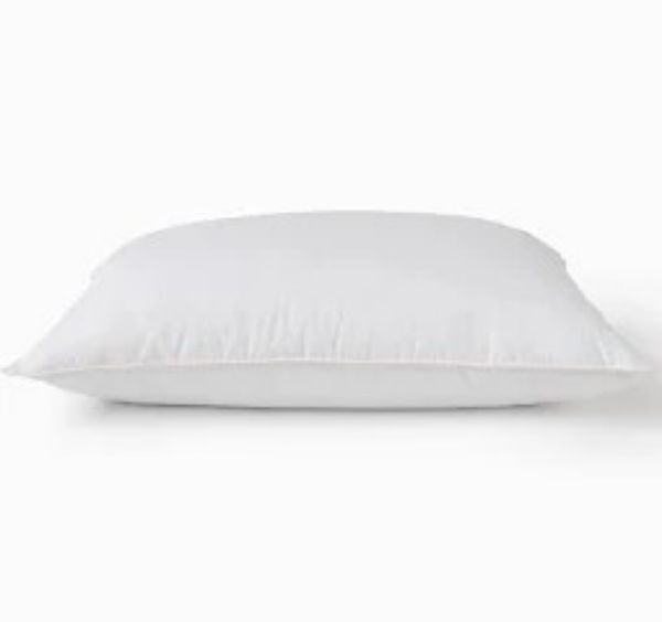 Picture of AUTHENTICA Down Pillow 19"x29" WT