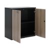 Picture of AKTIV Low Cabinet 80-2Doors  NO/BK